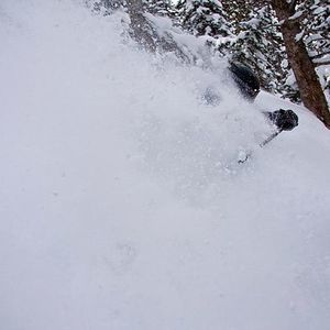 Meet your Posher, Chad